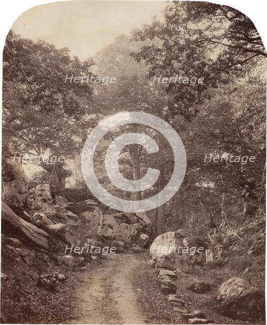 Fontainebleau, c. 1860s. Creator: Alphonse Jeanrenaud.