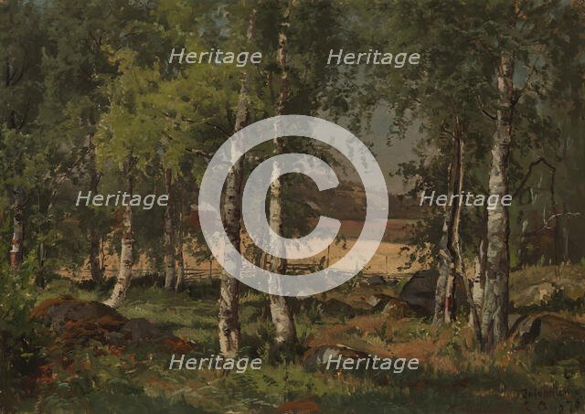 Landscape with Birch Grove and Rye Field, 1876. Creator: Hjalmar Munsterhjelm.