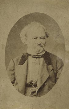 Portrait of pianist and composer Ferenc Erkel (1810-1893), c. 1875. Creator: Anonymous.