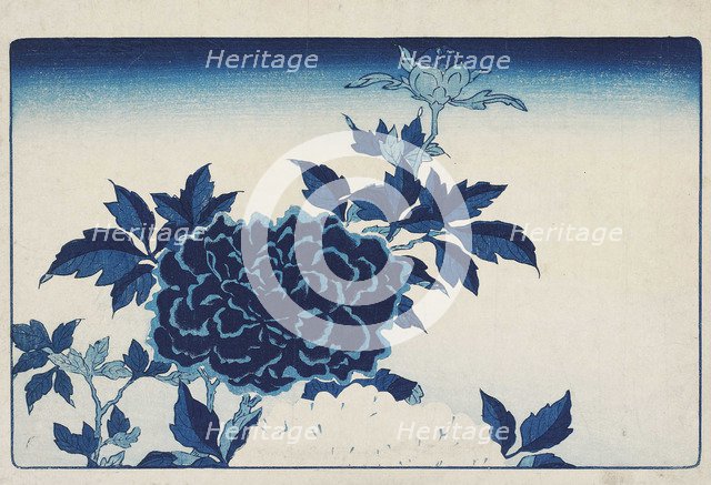 Aizuri-e with flowers, .