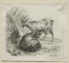 Three Goats. Creator: Nicolaes Berchem (Dutch, 1620-1683).
