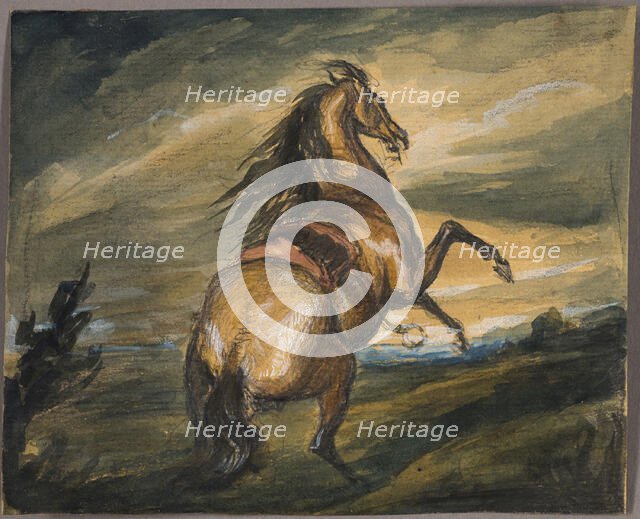 Rearing Horse, 1817. Creator: Edwin Henry Landseer.