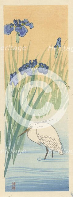 Egret, 1925-1936. Creator: Ohara, Koson (1877-1945).