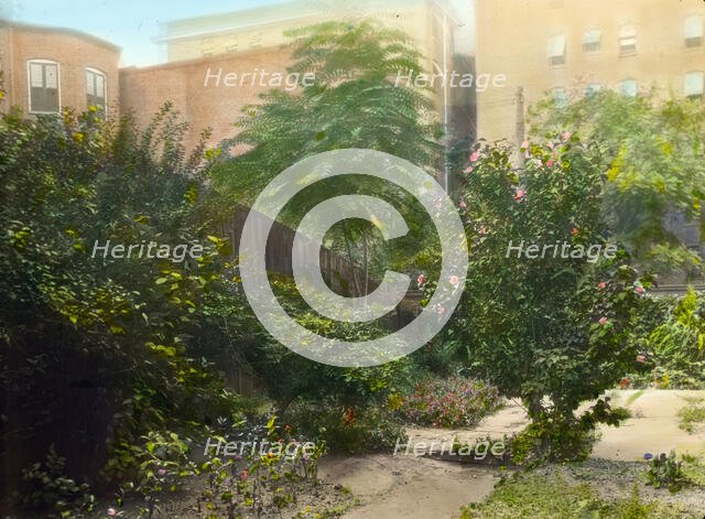 Unidentified city garden, probably in New York, New York, c1922. Creator: Frances Benjamin Johnston.