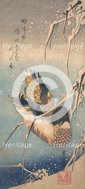 A Wild Duck near a Snow-laden Shore, ca. 1843., ca. 1843. Creator: Ando Hiroshige.