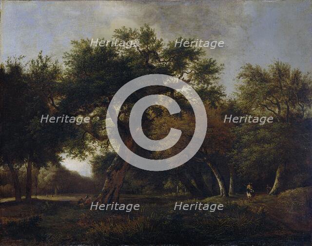 View in the Woods, 1660-1680. Creator: Jan van Kessel.