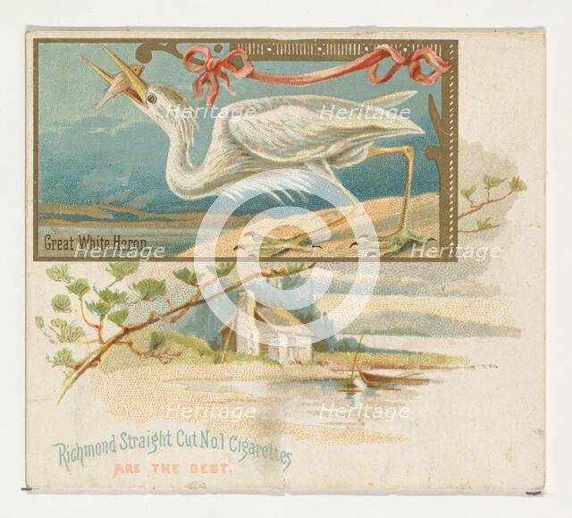 Great White Heron, from the Game Birds series (N40) for Allen & Ginter Cigarettes, 1888-90. Creator: Allen & Ginter.