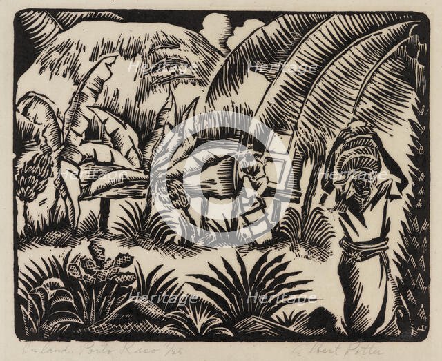Inland, Porto Rico, ca.1935 - 1937. Creator: Albert Potter.