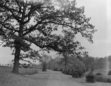 A Drive in Forest Park, Springfield, Mass., between 1910 and 1920. Creator: Unknown.