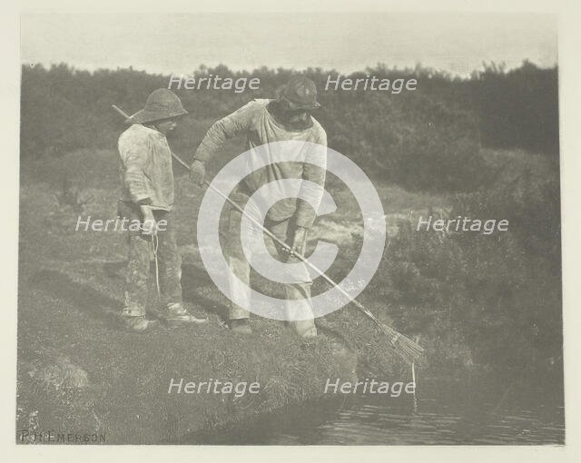 Eel-Picking in Suffolk Waters, c. 1883/87, printed 1888. Creator: Peter Henry Emerson.