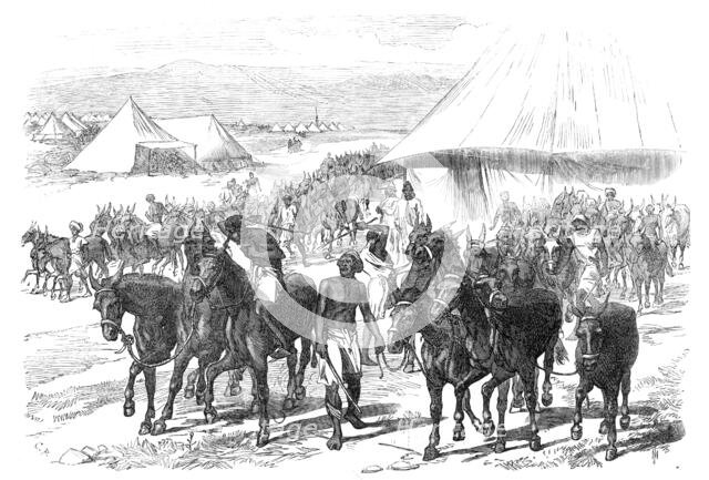 The Expedition to Abyssinia: mules and mule drivers, 1868. Creator: C. R..