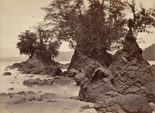 Tropical Scenery, Limon Bay - Low Tide, 1871. Creator: John Moran.