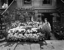 An Easter floral display, New York, between 1900 and 1905. Creator: Unknown.