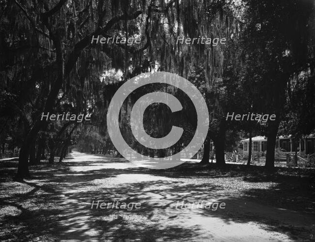 Ridgewood Ave., Daytona, Fla., c1901. Creator: Unknown.