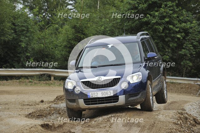 Skoda Yeti 2009. Artist: Simon Clay.