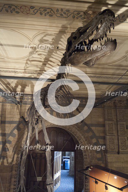 Nat His Museum, 2005. Creator: Ethel Davies.