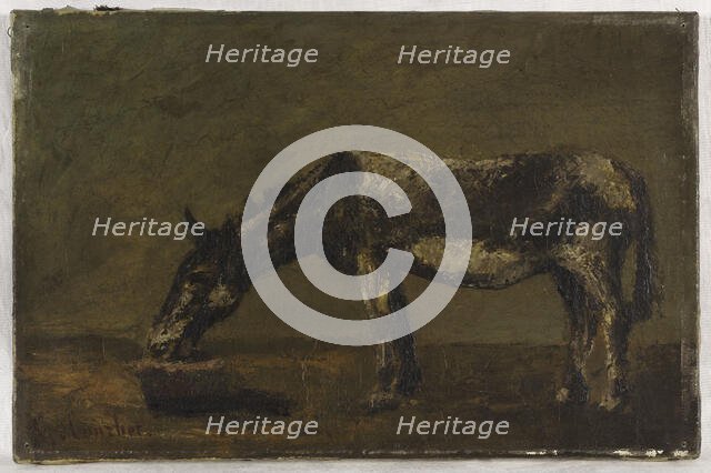 L'âne, between 1862 and 1863. Creator: Gustave Courbet.