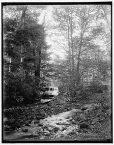 Wiscasset Glen, Mt. Pocono, Pa., between 1890 and 1901. Creator: Unknown.
