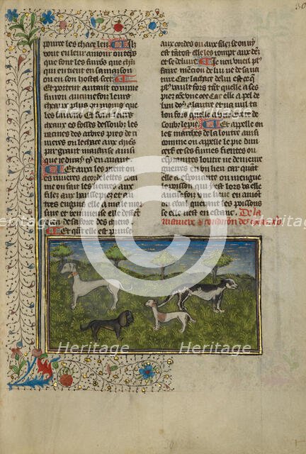 Dogs; Livre de la Chasse, about 1430-1440. Creator: Unknown.