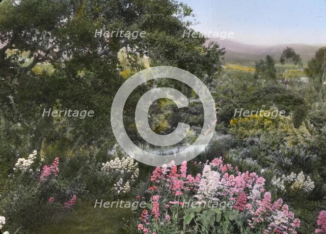 "El Cerrito," Edward Larned Ryerson Jr. house, Hot Springs Road, Santa Barbara, California, 1917. Creator: Frances Benjamin Johnston.
