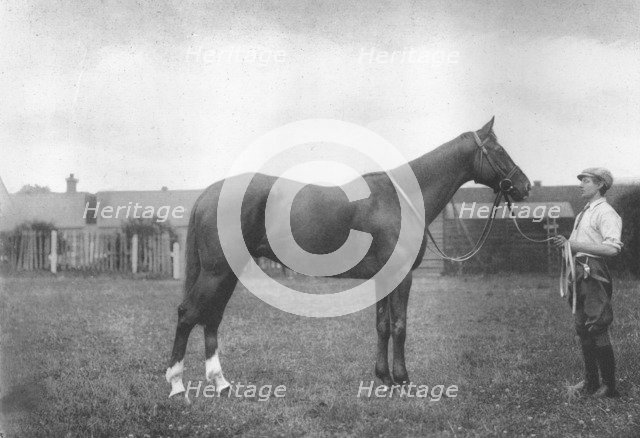 'Mount Prospects Fortune', 1911. Artist: Unknown.