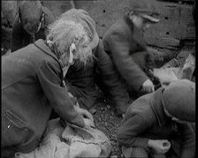 Close up of Male and Female Children Picking Through Small Heaps of Coal on the Ground, 1924. Creator: British Pathe Ltd.