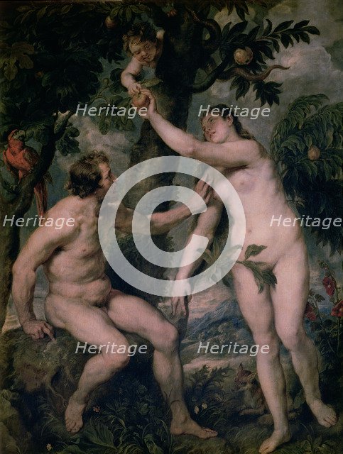 Painting by Peter Paul Rubens (1577 - 1640) 'Adam and Eve', copy of Titian's painting, kept in th…