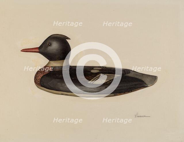 Decoy, c. 1941. Creator: Selma Sandler.