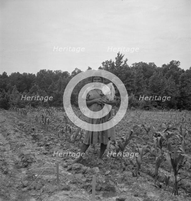 Wife and child of...sharecropper..., Hillside Farm, Person County, North Carolina, 1939. Creator: Dorothea Lange.