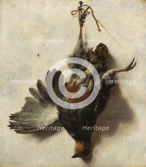 Dead Partridge Hanging from a Nail, c1650-1652. Creator: Jan Baptist Weenix.