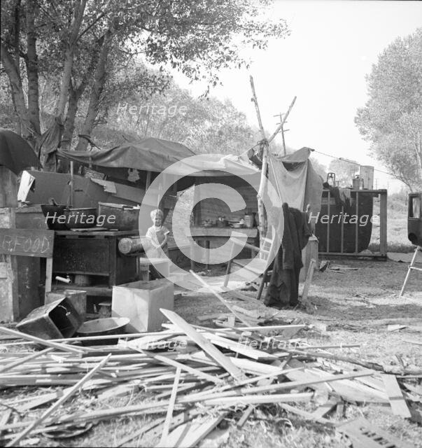 Destitute family, American River camp, Sacramento, California., 1936. Creator: Dorothea Lange.