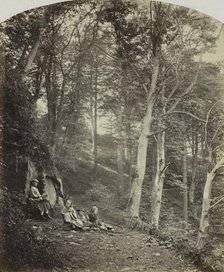 A Path Through a Wood, c. 1860. Creator: Major Francis Gresley (British).