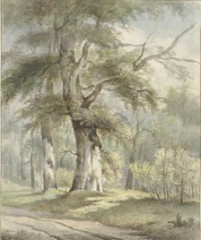 Forest view, 1813-1863. Creator: Arnoldus Johannes Eymer.
