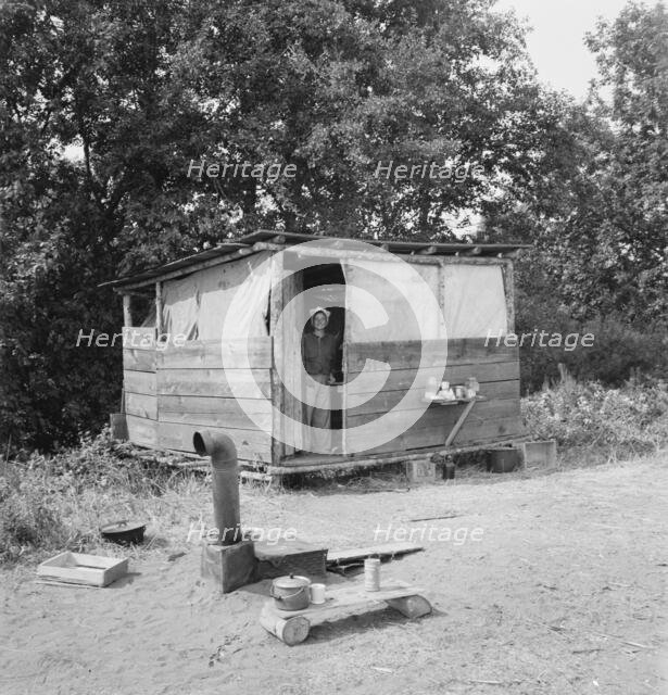A row of shelters...for hop pickers..., near Grants Pass, Josephine County, Oregon, 1939. Creator: Dorothea Lange.