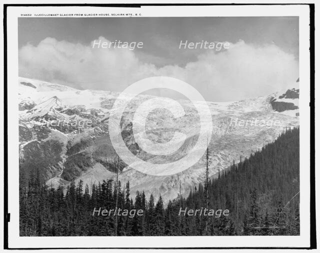 Illecillewaet Glacier from Glacier House, Selkirk Mts., B.C., c1902. Creator: Unknown.