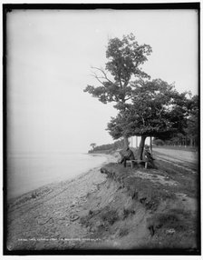 Lake Ontario from the boulevard, Oswego, N.Y., between 1890 and 1901. Creator: Unknown.