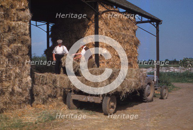 Stacking Bales of Hay in Dutch Barns, c1960s. Artist: CM Dixon.