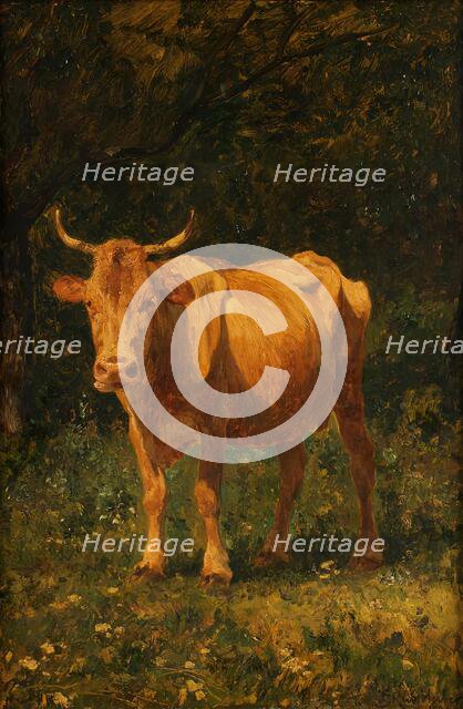 Bread-colored cow, 1889. Creator: Carl Rudolf Huber.