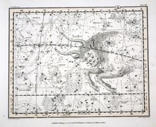 The Constellations (Plate XIV)Taurus, 1822.