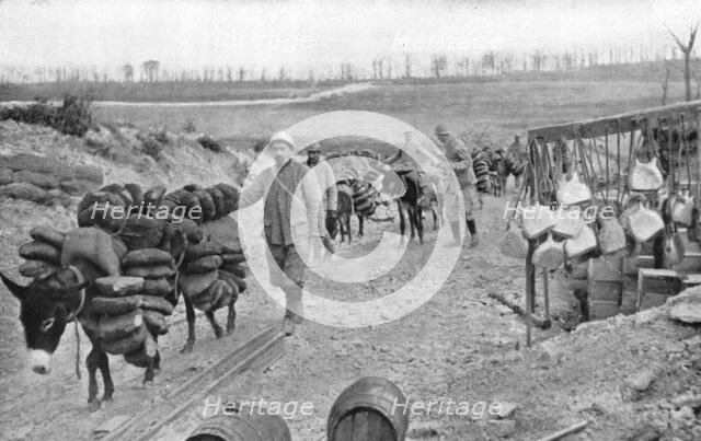 'A L'arriere de Verdun; D'utiles auxiliaires a quatre pattes: les petits anes..., 1916 (1924) Creator: Unknown.