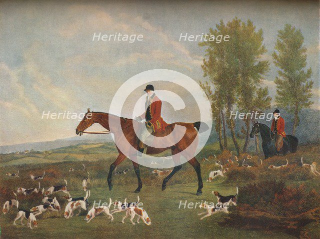 'His Majesty's Harriers', c19th century. Artist: Richard Woodman.