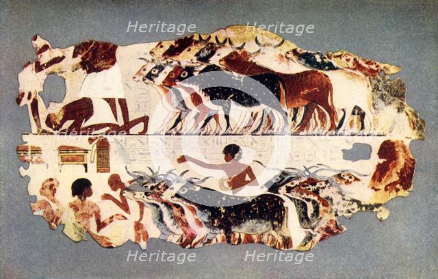 'Scene representing the driving of a large herd of cattle on an Egyptian farm', c1350 BC, (1915.) Creator: Unknown.