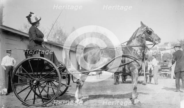 Horse Shows - Mrs. C.W. Watson Driving, 1911. Creator: Harris & Ewing.
