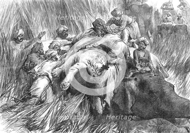 The Prince of Wales in the Terai: "Padding" a Tiger"...1876. Creator: Unknown.
