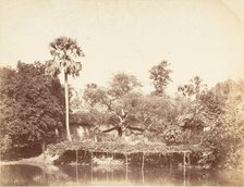 View of the Jungle, Bengal, 1850s. Creator: Captain R. B. Hill.