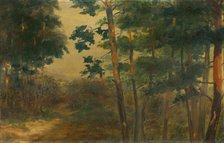 Forest view, 1902-1908. Creator: Elemír Halász-Hradil.