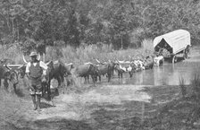 ''Passage d'une riviere au Natal; Afrique Australe', 1914. Creator: Unknown.