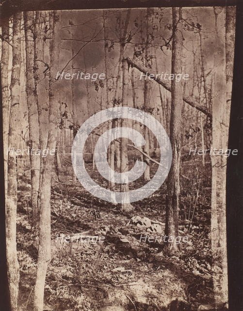The Wilderness Battlefield, 1864. Creator: Unknown.