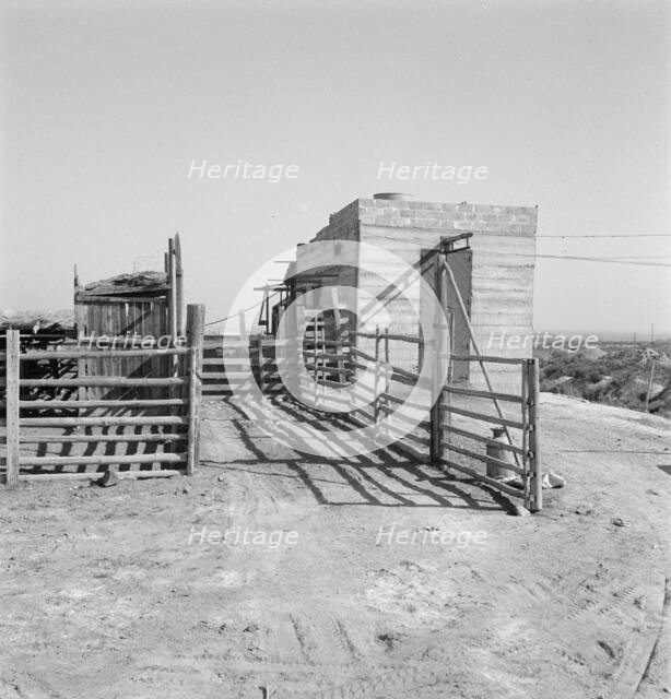 Country slaughterhouse for use of farmers, one mile north of Nyssa, Malheur County, Oregon, 1939. Creator: Dorothea Lange.