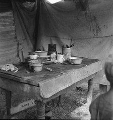 Food supply of migrant family, American River camp near Sacramento, California, 1936. Creator: Dorothea Lange.